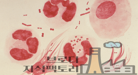 요도 간지러움