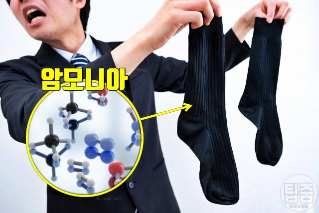 몸냄새 질병 자가진단 체취 암모니아 신장