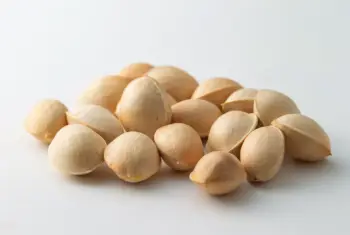 은행 열매 가격 및 효능&amp;#44; 영양성분과 부작용