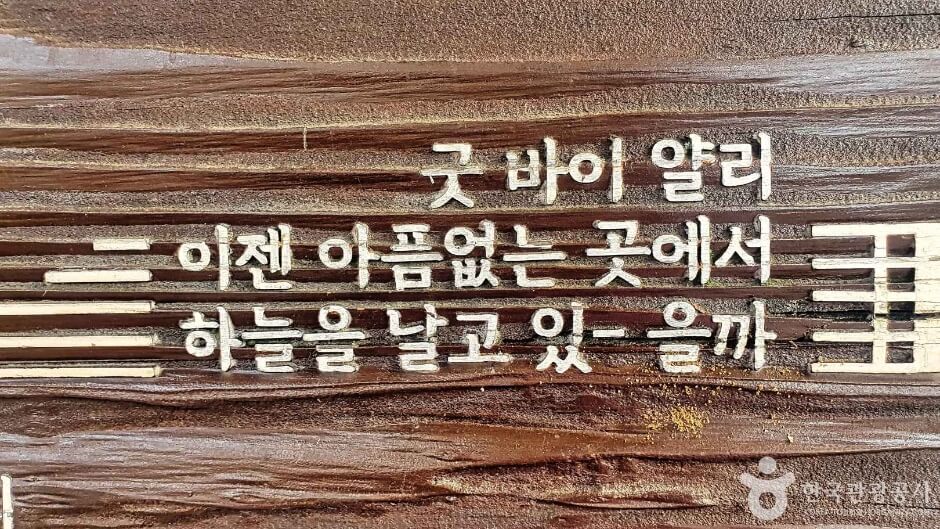 성남 가볼만한곳 베스트 10