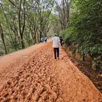 황토길 맨발걷기 효능 부작용 무좀_5