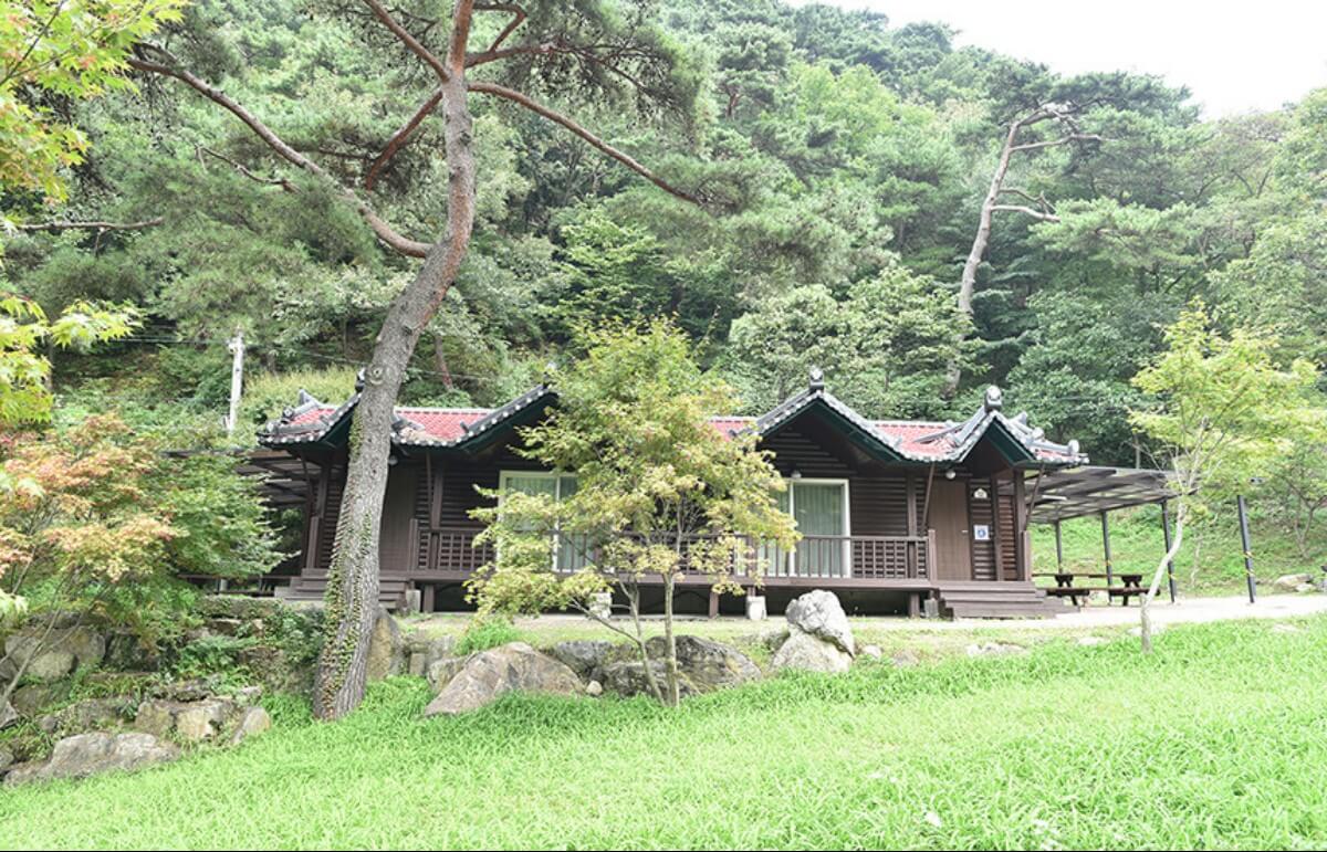 박달재자연휴양림 8인 가족실