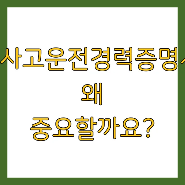 2025 무사고운전경력증명서 발급 방법 혜택 총정리