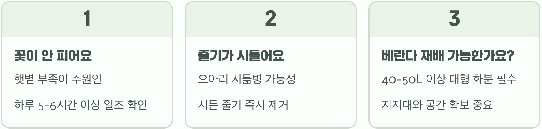 정원의 여왕 으아리꽃 키우기, 덩굴 유인부터 월동까지 A to Z