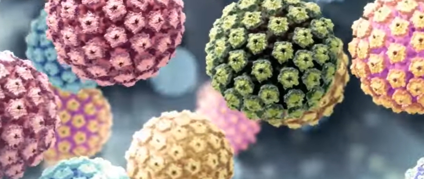 hpv 바이러스 증상