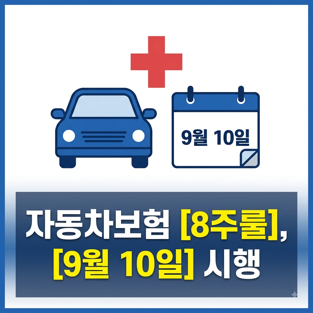 자동차보험 8주룰 시행 안내