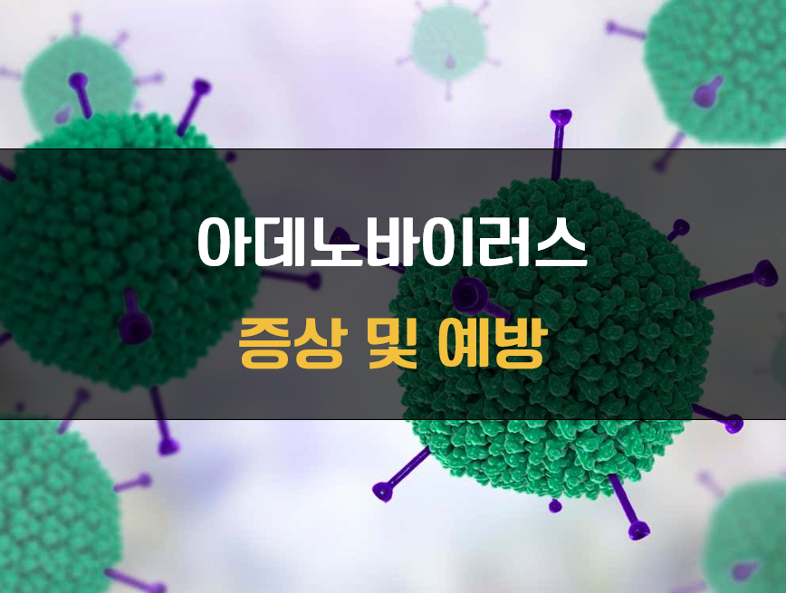 아데노바이러스 증상