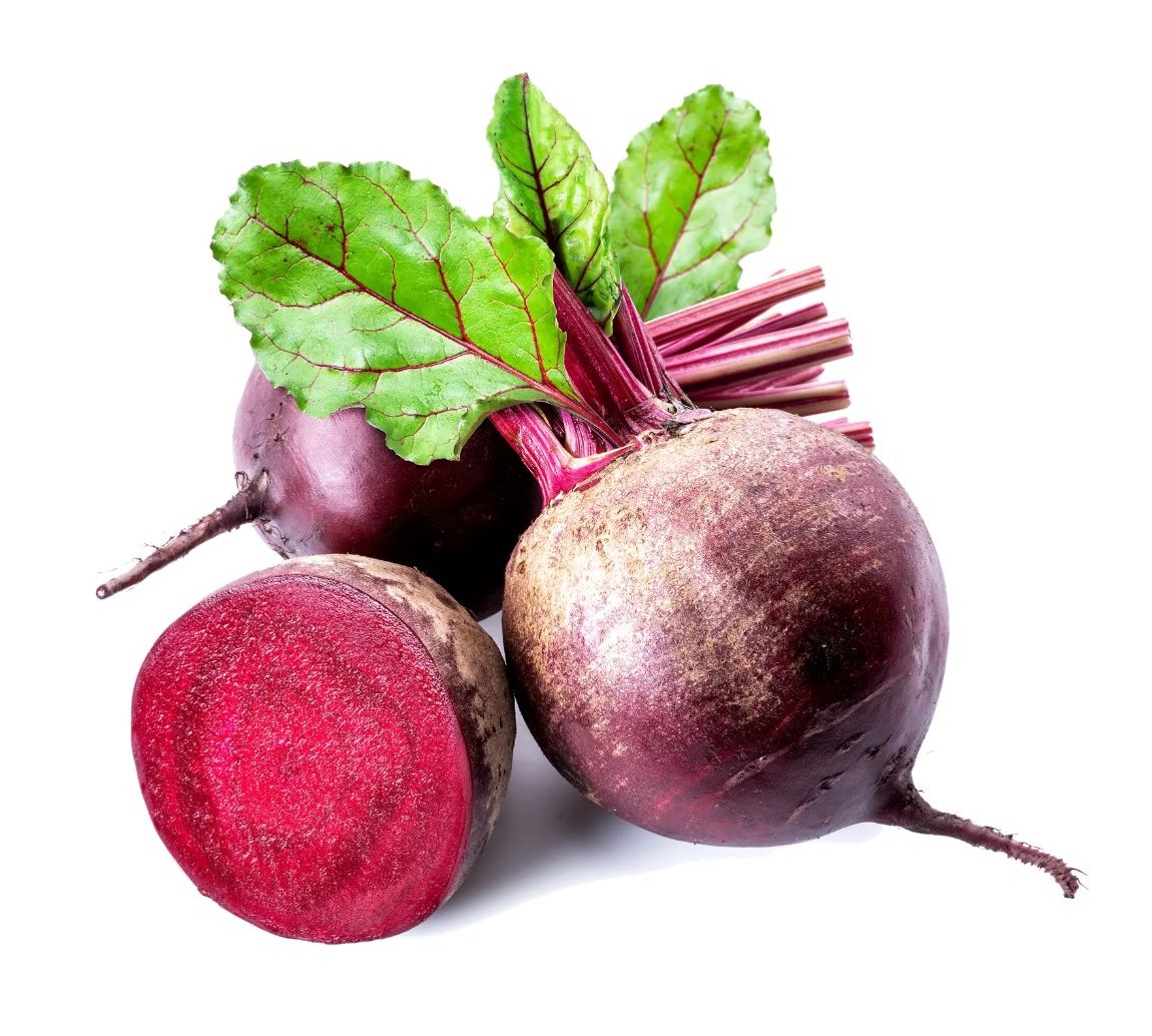 비트 효능의 이해를 위한 비트 이미지