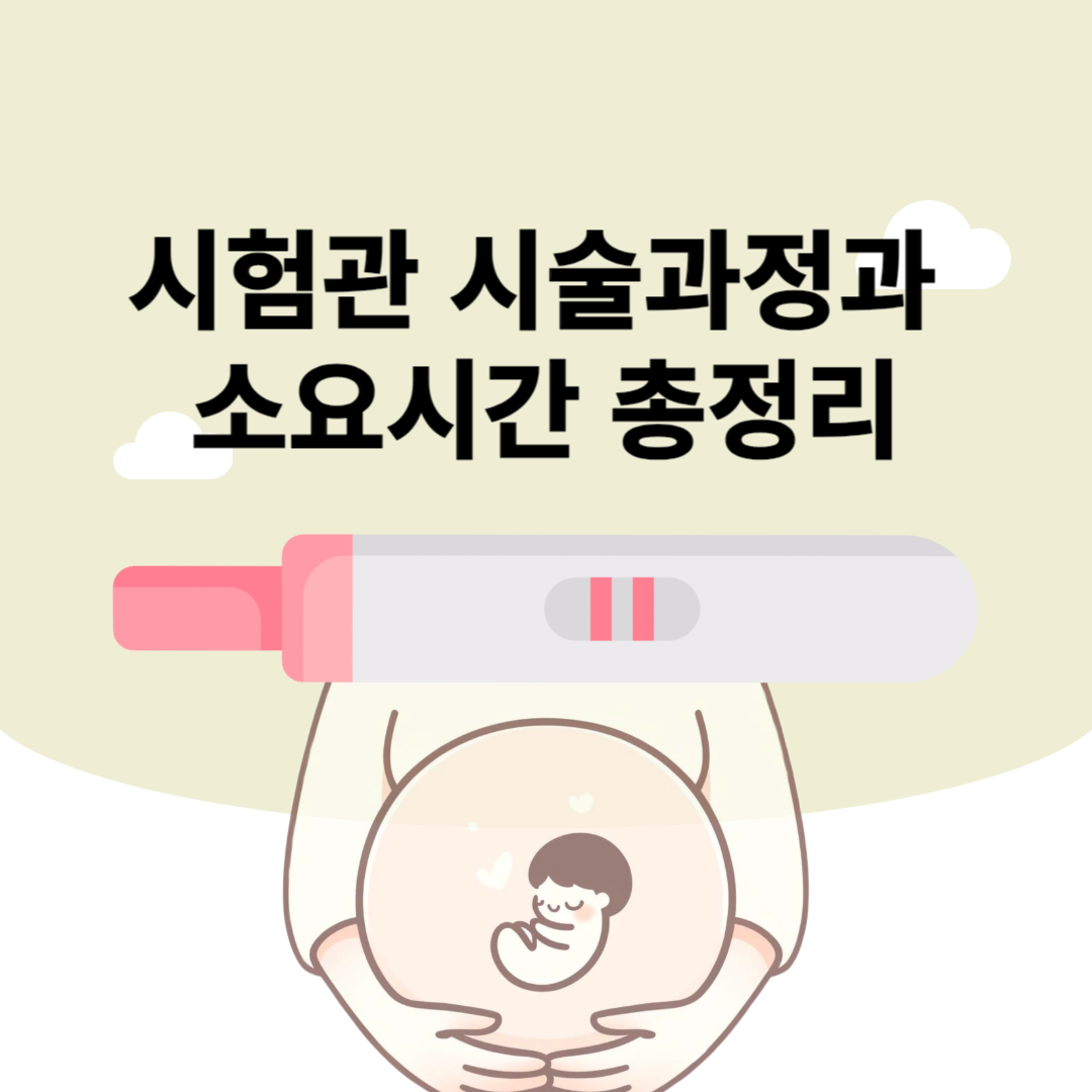 시험관 시술