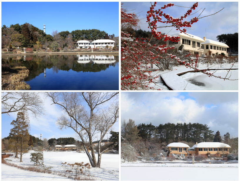 천리포수목원-겨울풍경