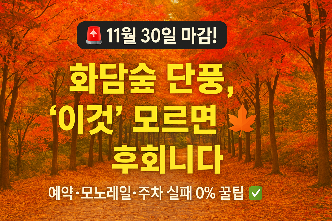 2025-화담숲,-'이것'-모르면-100%-후회합니다-(예약,-모노레일,-주차-실패-0%-꿀팁)