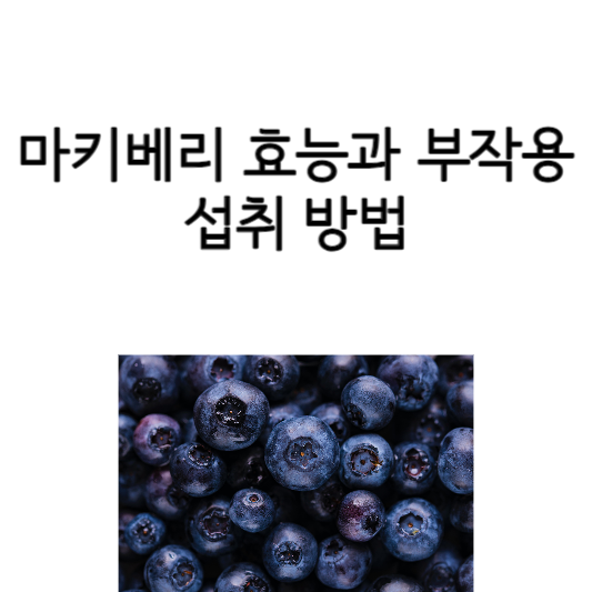 마키베리 효능과 부작용, 섭취 방법
