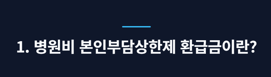 병원비 환급조회