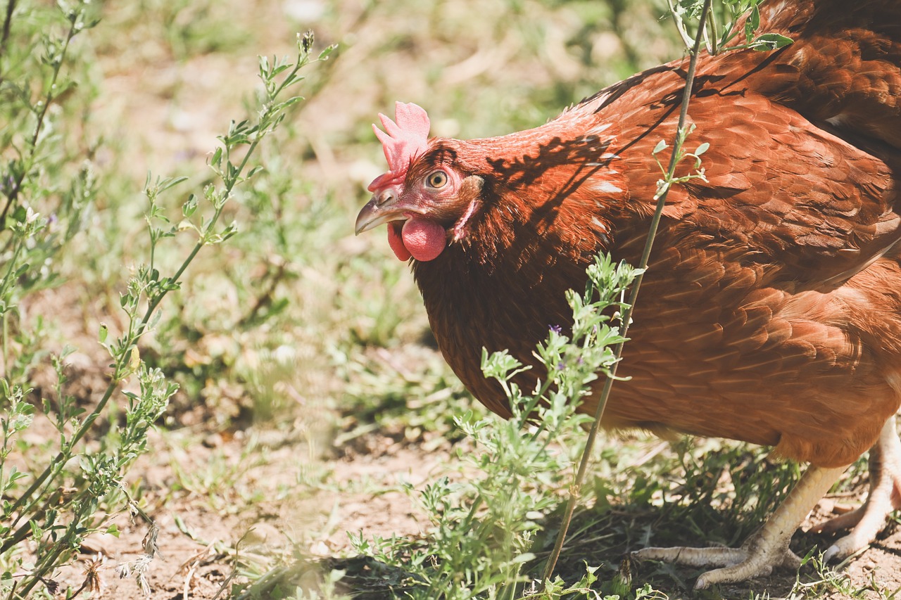 2025 농업인 수당 신청 후기~~이렇게 해서 60만원 받았습니다