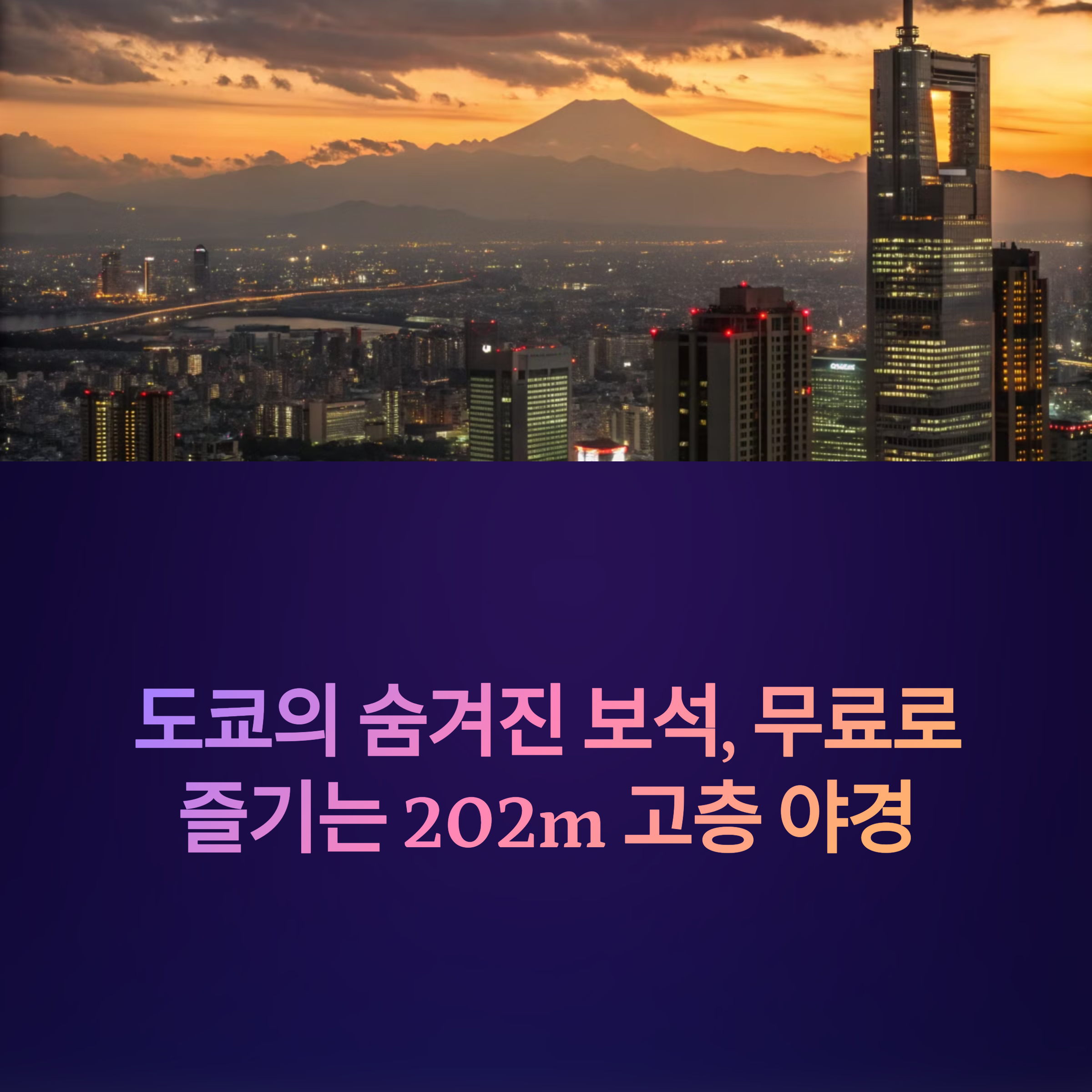도쿄 야경 필수코스, 도쿄도청 전망대 시간대별 후기