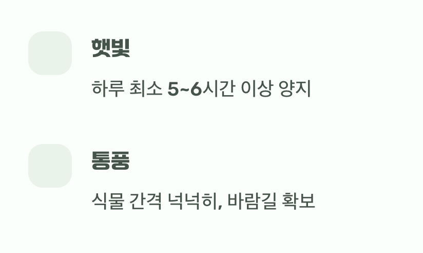 최고의 보약, 햇살과 바람