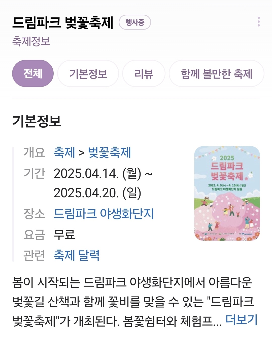 드림파크 벚꽃 축제 관련 사진