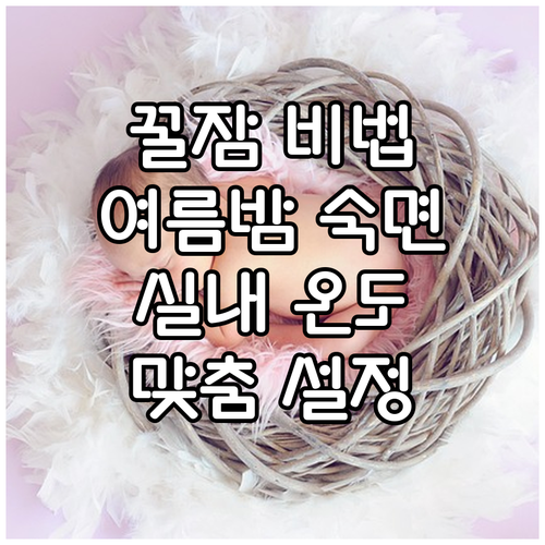 잠이 보약! 여름밤 숙면 위한 실내 ..