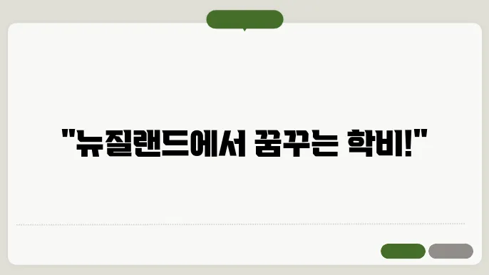 뉴질랜드 학생 비자, 재정 지원