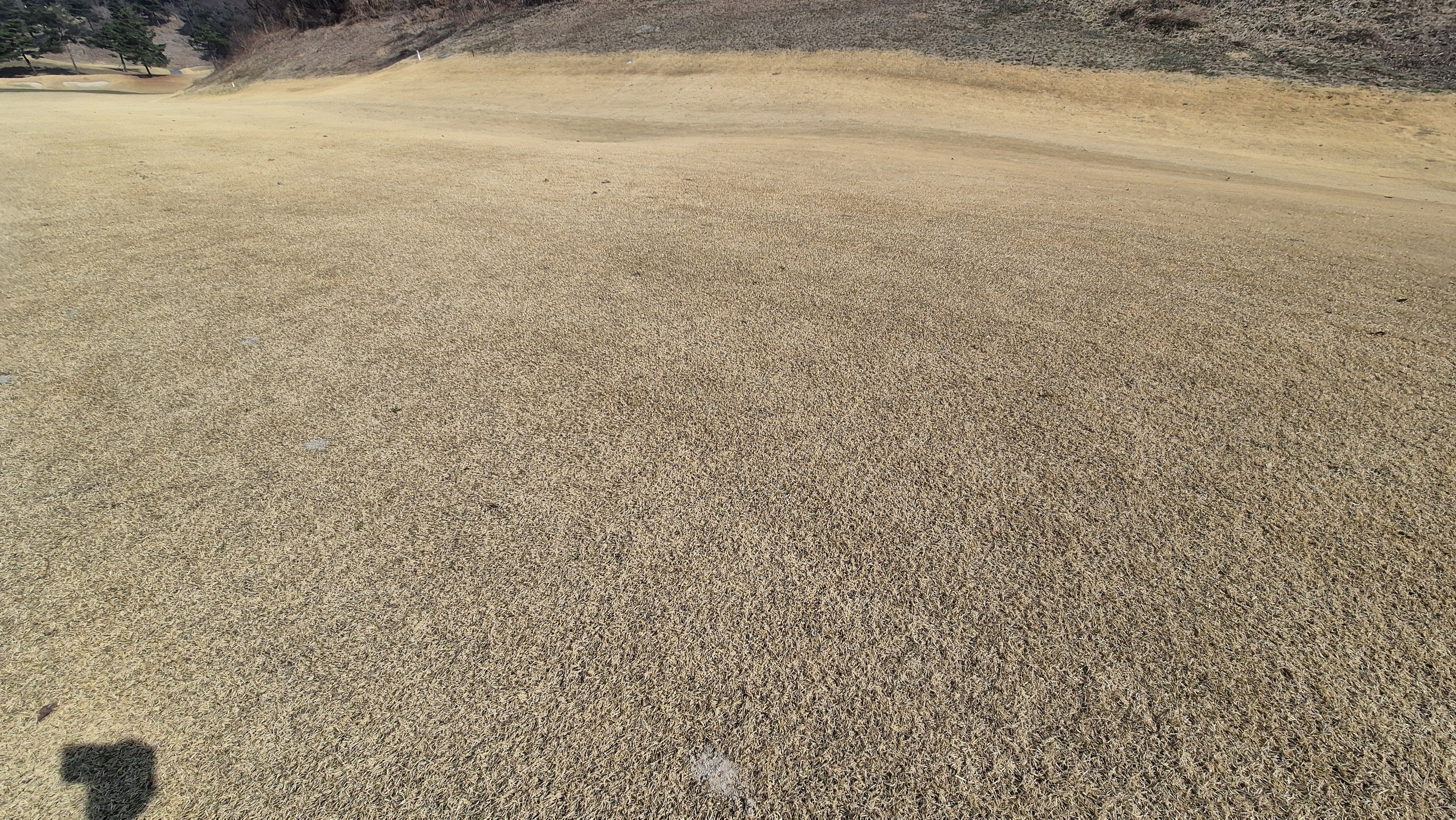 이글몬트cc 히든-이글 코스 라운드 후기