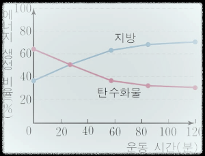 에너지시스템