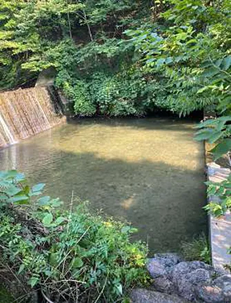 금화계곡
