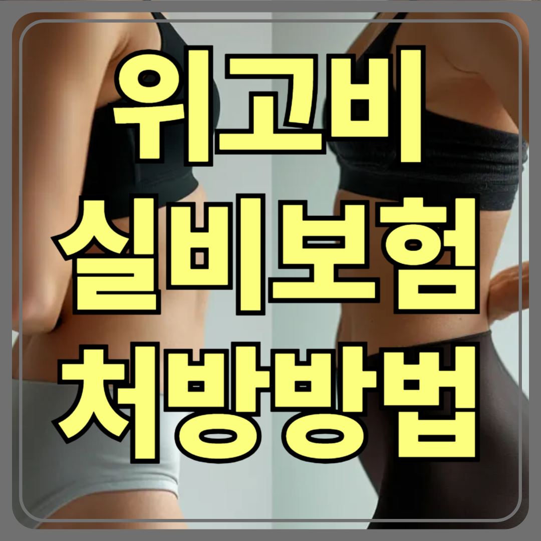 위고비 실비보험 처방방법(다이어트 주사 효능 부작용 처방)
