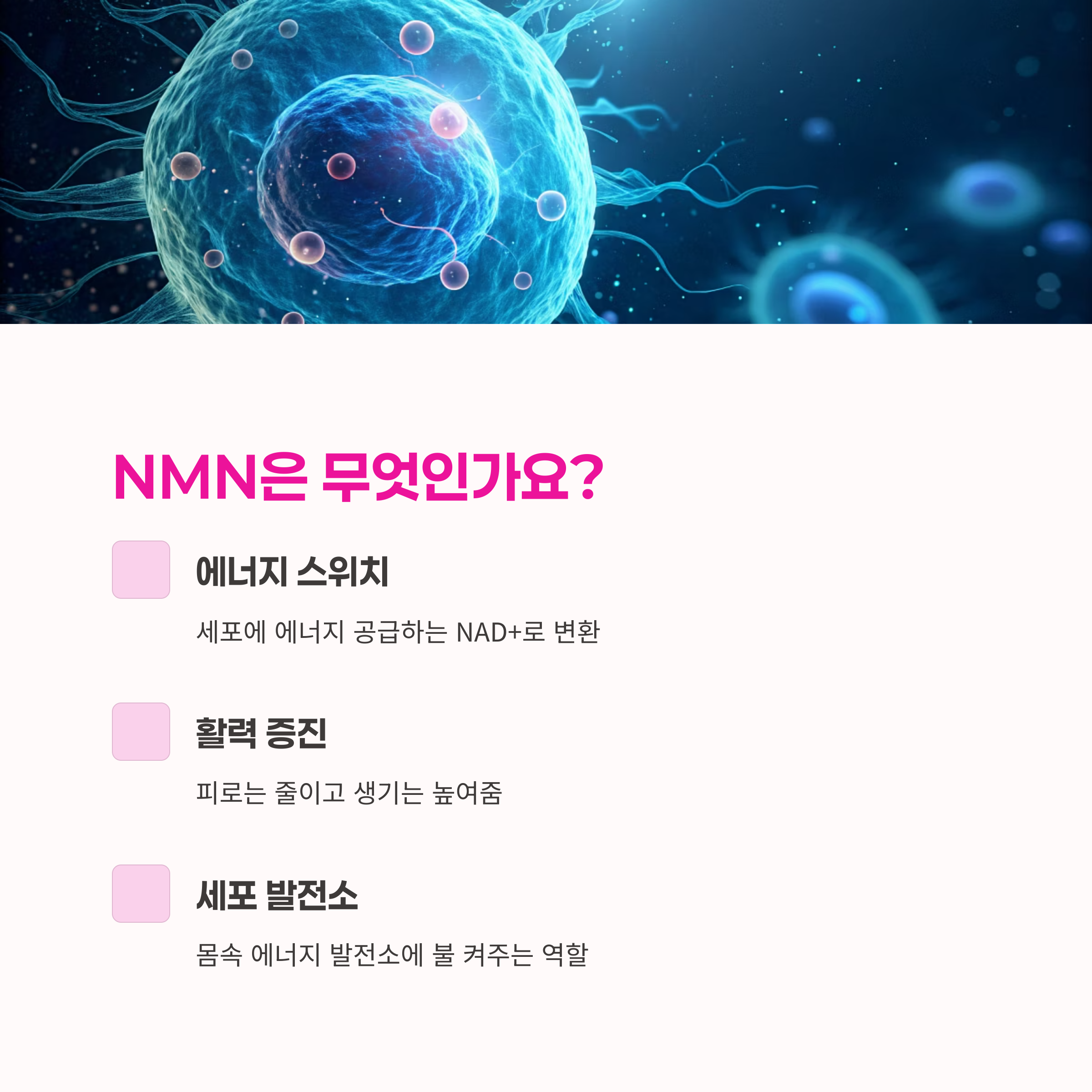 피로 회복,
