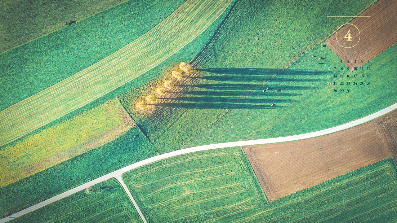 09 초록색 들판 A - 2025년4월 노트북배경화면