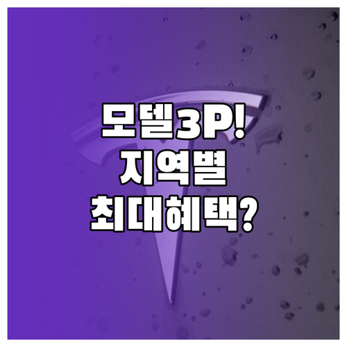 테슬라 모델 3 퍼포먼스 지역별 지자..