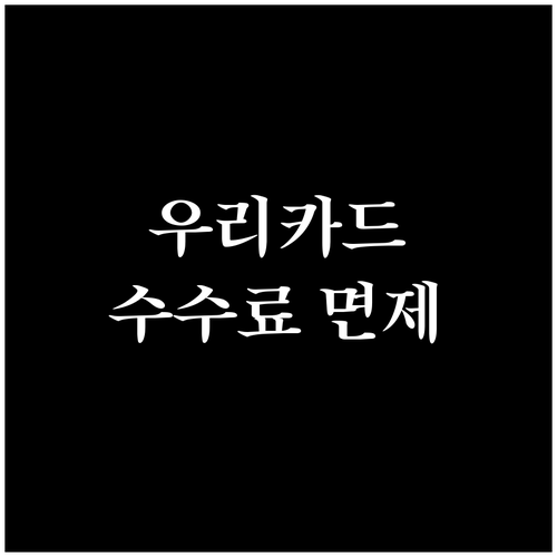 아는 만큼 아낀다! 우리카드 해외 결..