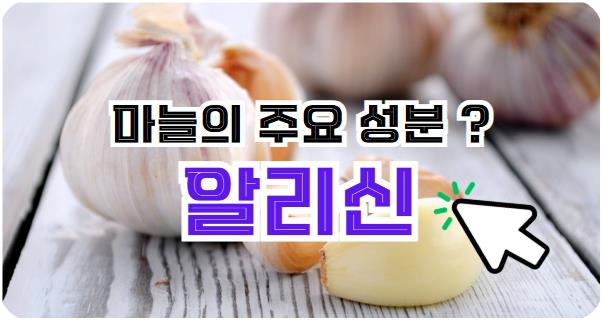 마늘의 주요 성분, 알리신 알아보기
