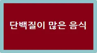 단백질이 많은 음식