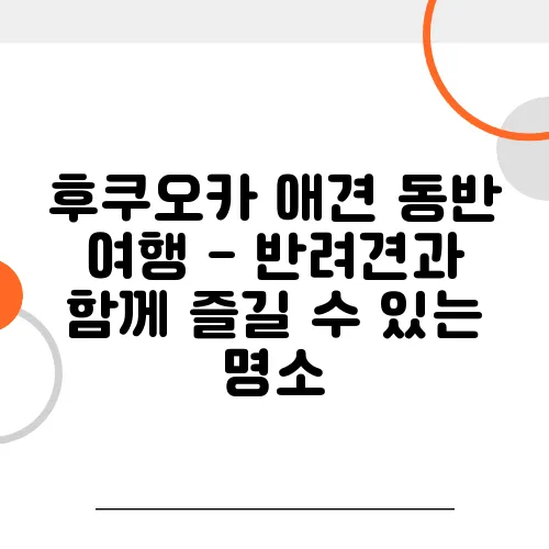 후쿠오카 애견 동반 여행 - 반려견과 함께 즐길 수 있는 명소