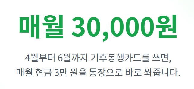 기후동행카드 3만원환급