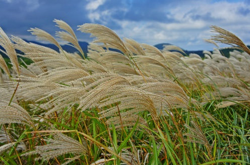 가을 여행지 추천