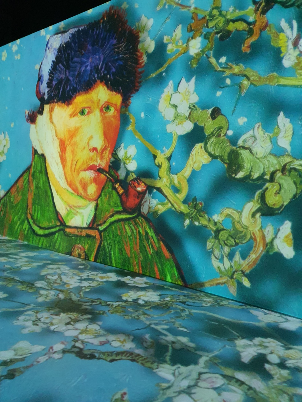 퍼플섬 반월도 박지도 여행