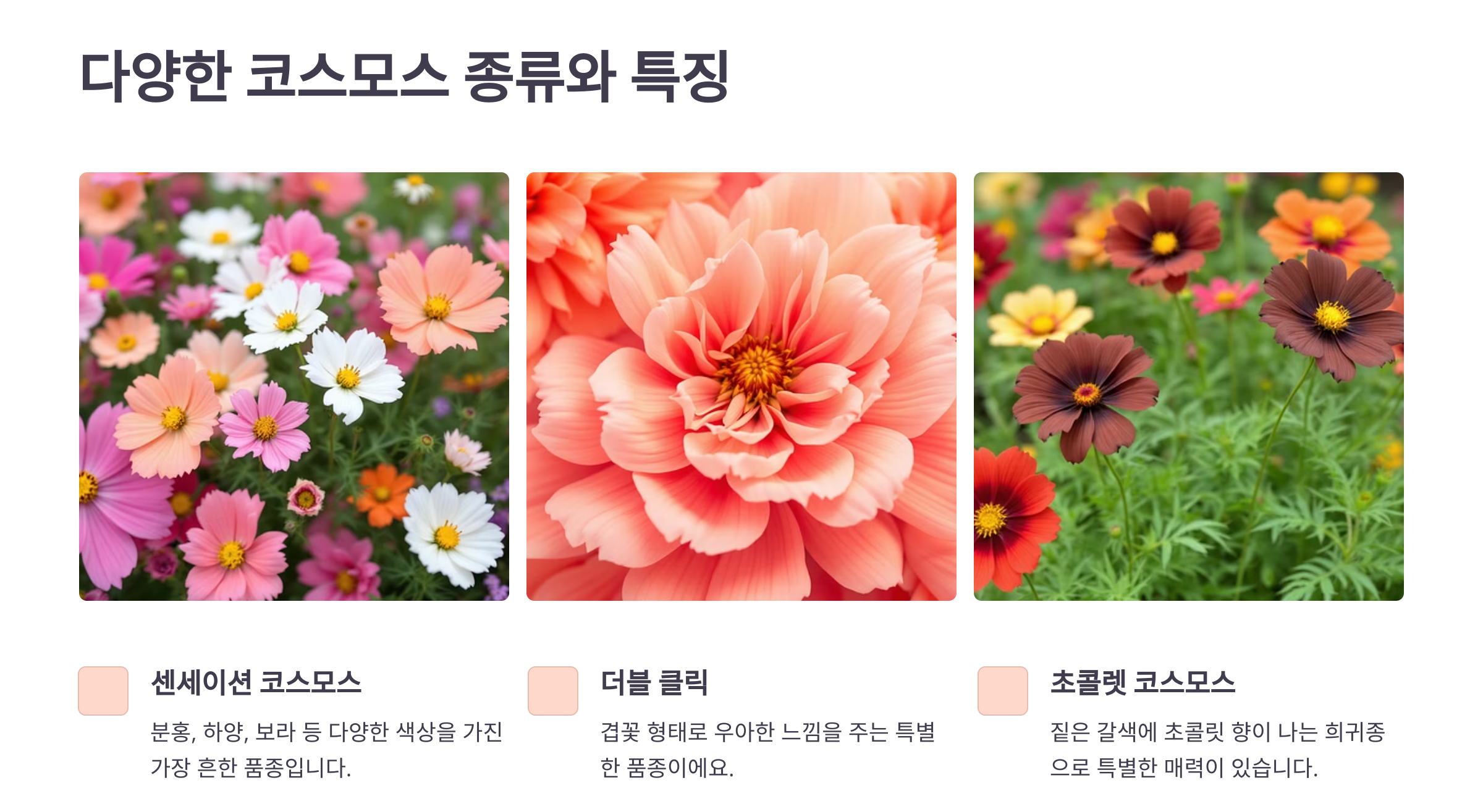 코스모스