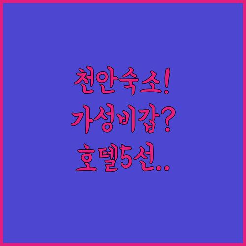 천안 터미널 주변 가성비 숙소와 프리..