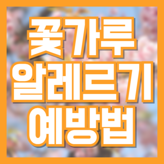 봄철 꽃가루 알레르기, 이렇게 예방하세요