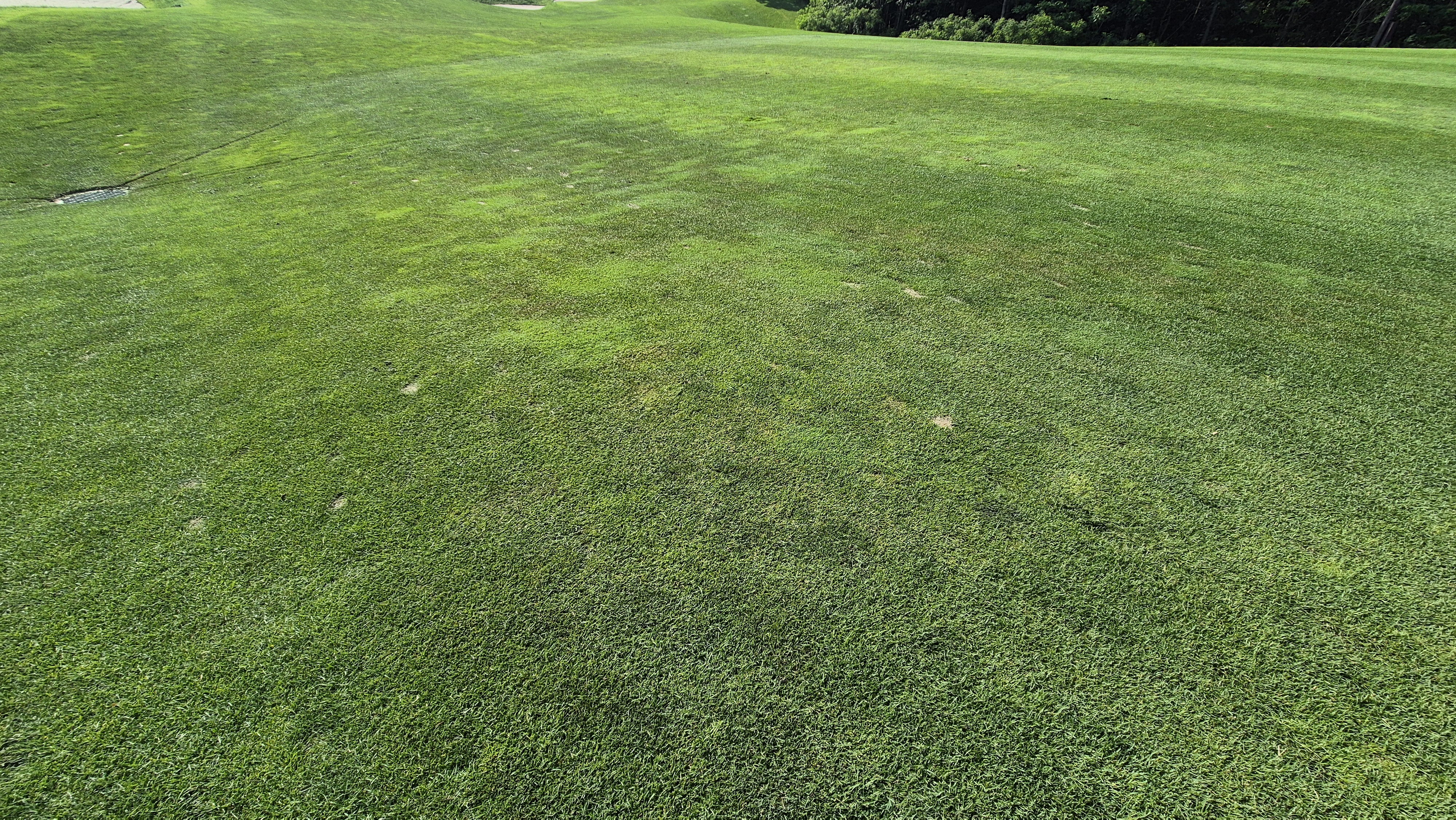 샤인데일cc 라운드 후기