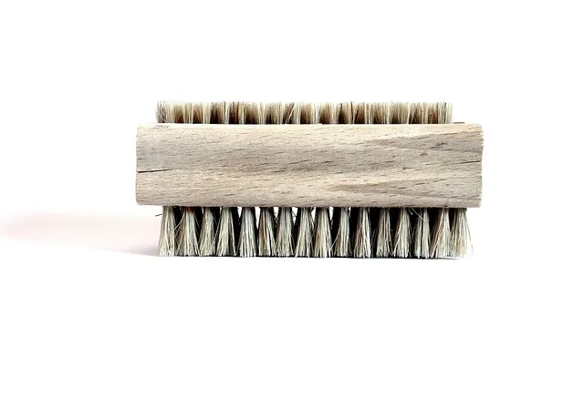 잎닦기 관리 미세먼지제거 광합성도움 우유물사용 주의점_8