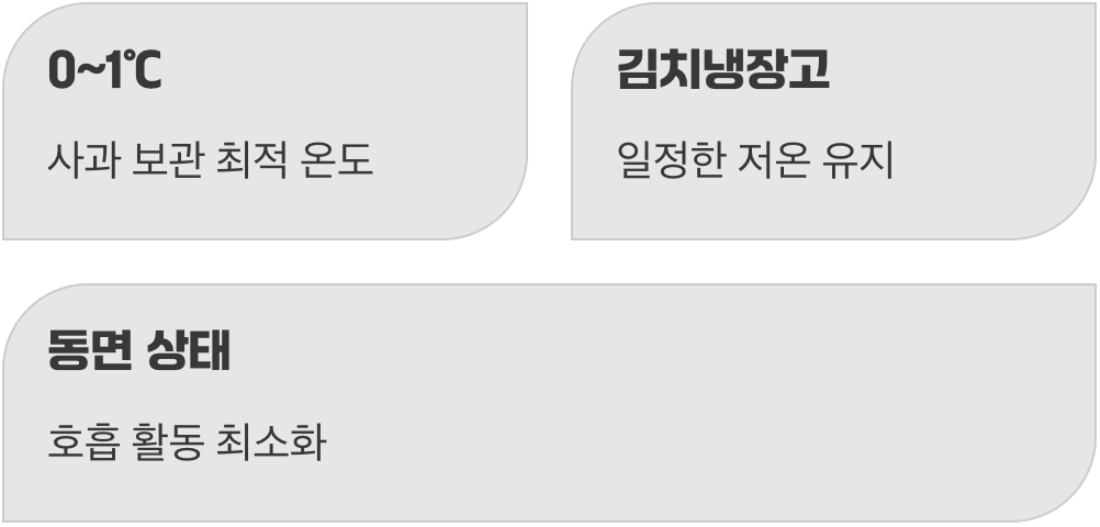 비법 2: 최적의 온도는 &lsquo;김치냉장고&rsquo;