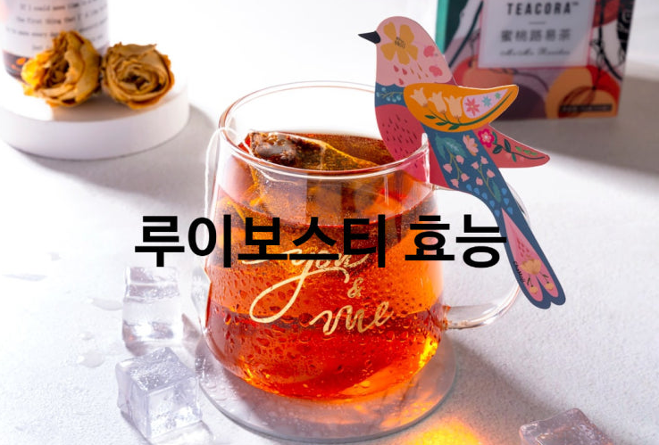 루이보스티효능 활용법 주의사항