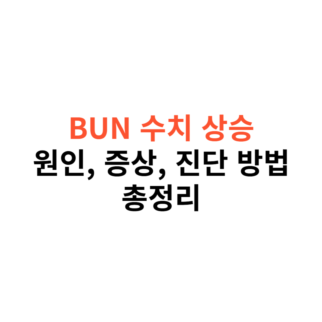 BUN 수치 상승