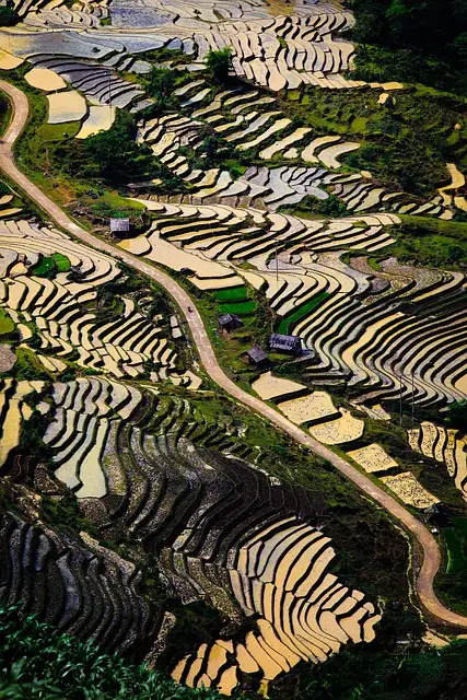 겨울 해외여행지 추천