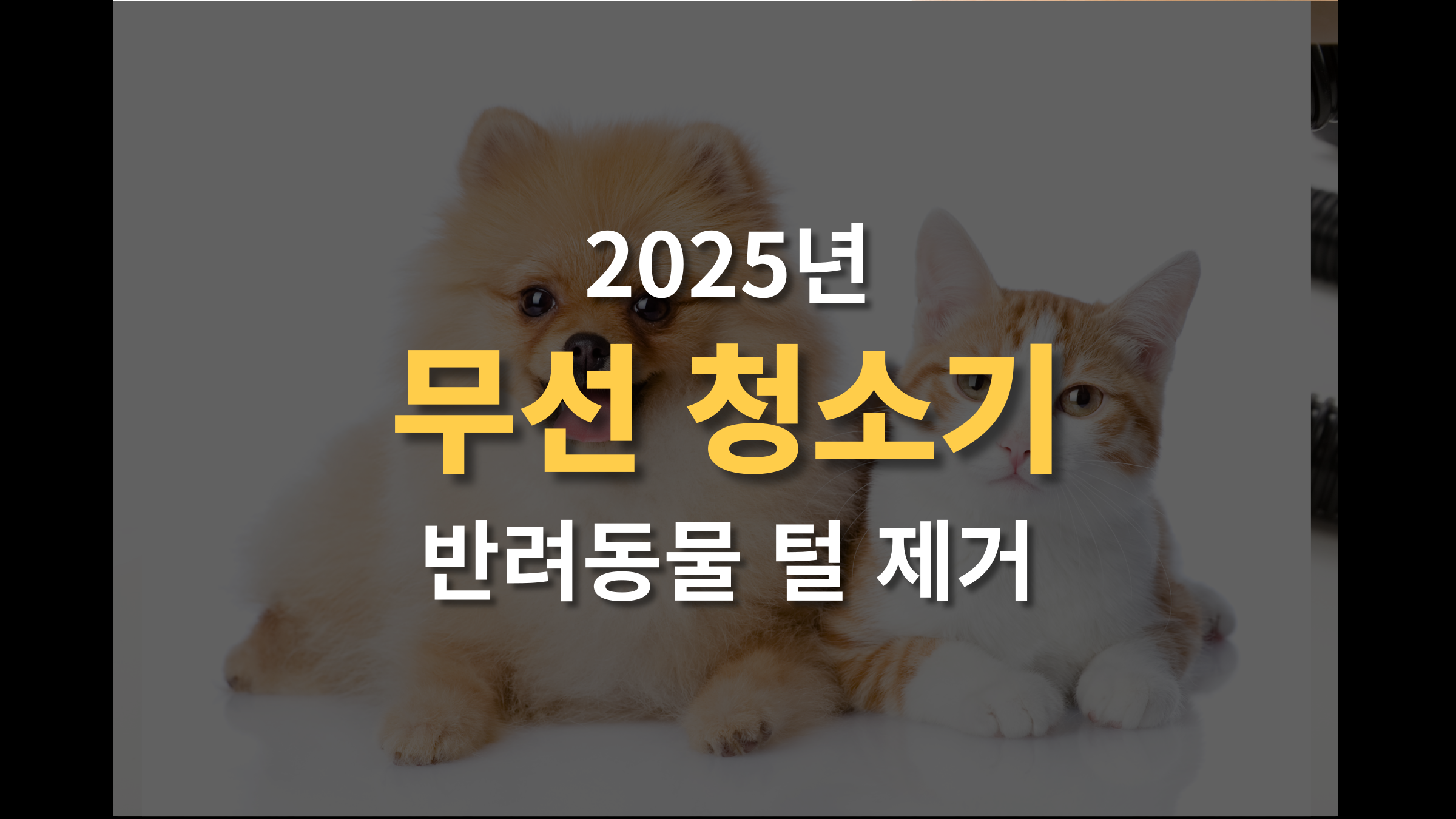 반려동물 무선 청소기 TOP 5 (+강아지 고양이 털 완벽 제거)