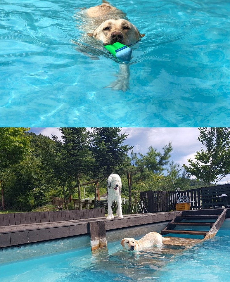 가평 멍비치 펜션