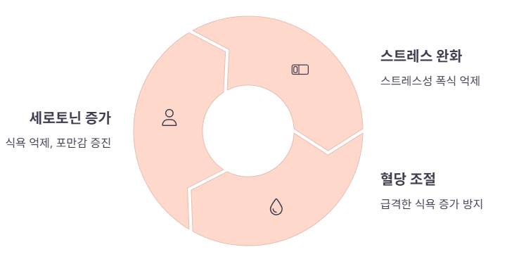 식욕 조절 및 스트레스 완화