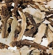 당귀 효능 부작용 뿌리 고르는법